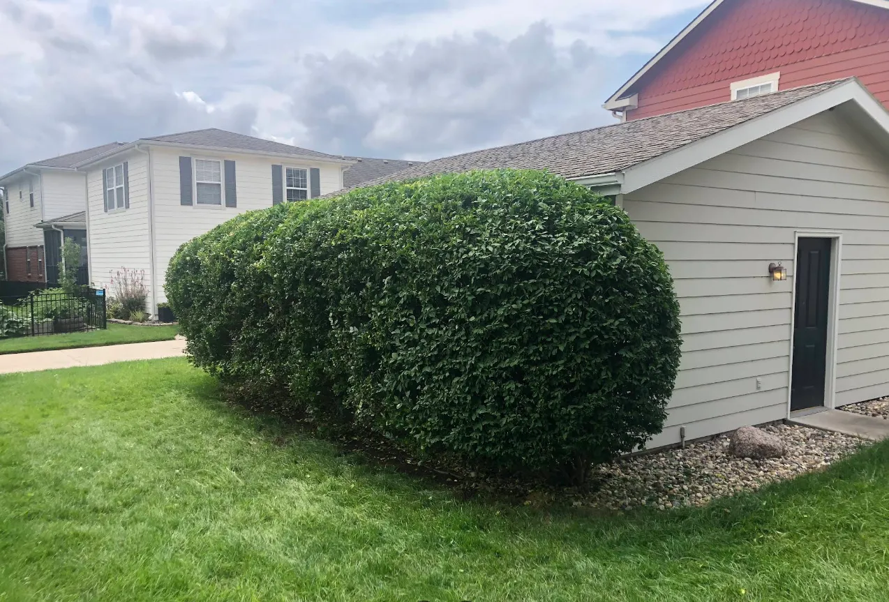 Mowers Ahead Lawn and Landscape Image