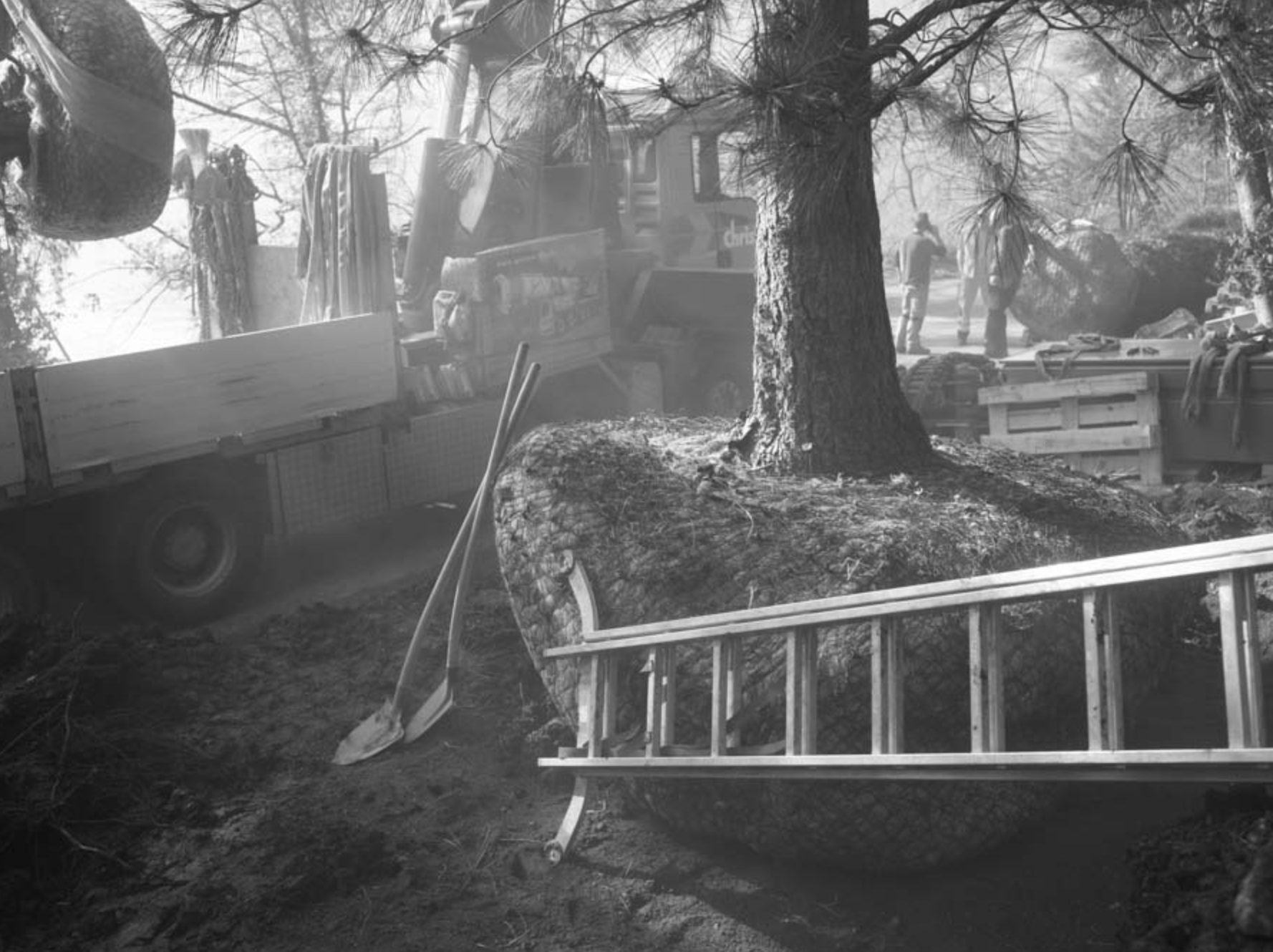 Select Garten GmbH, Im Chapf 11 in Erlenbach ZH