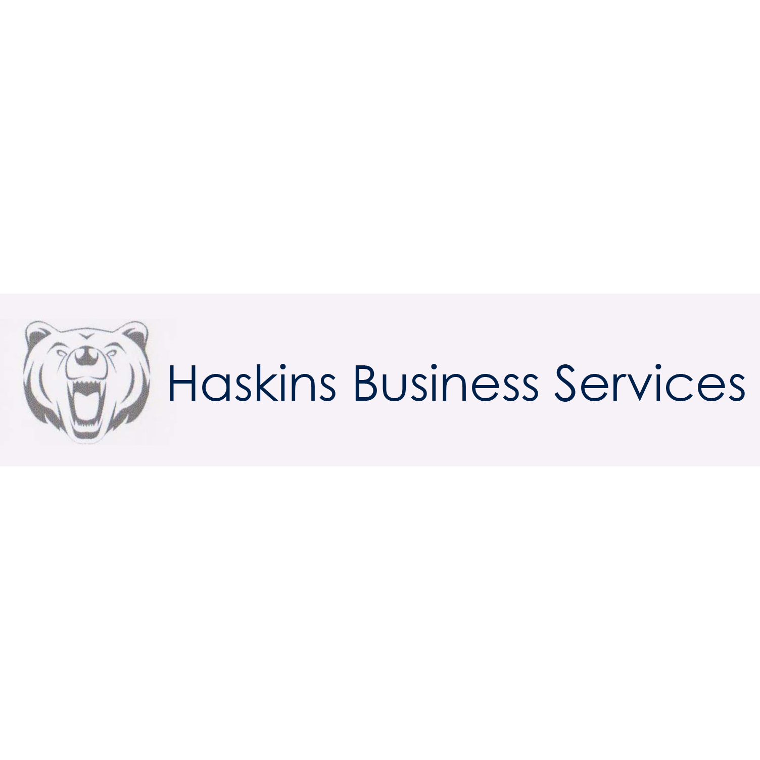 Haskins Business Services Logo