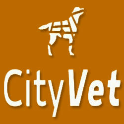 Clínica Veterinaria CityVet Valencia