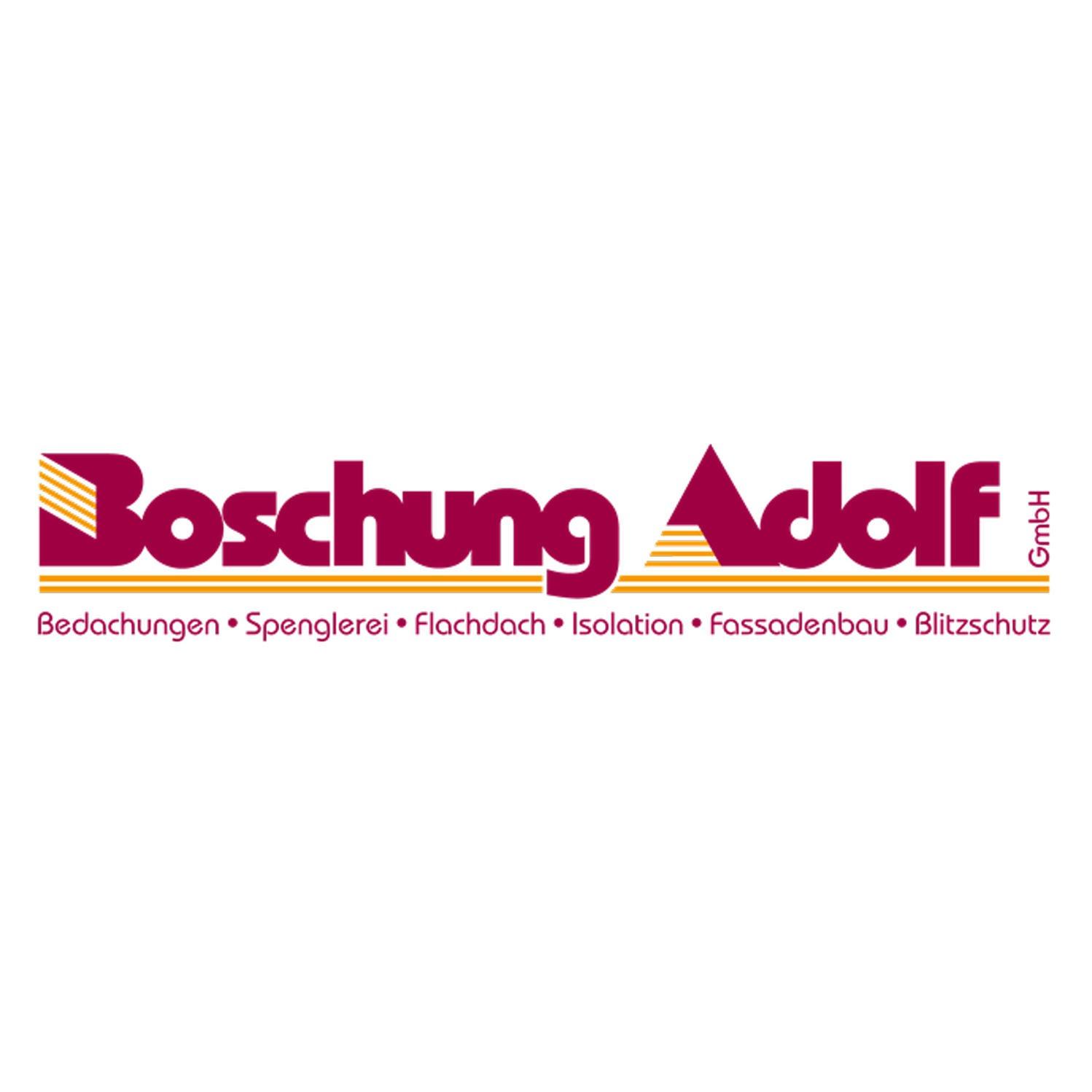 Boschung Adolf GmbH Logo
