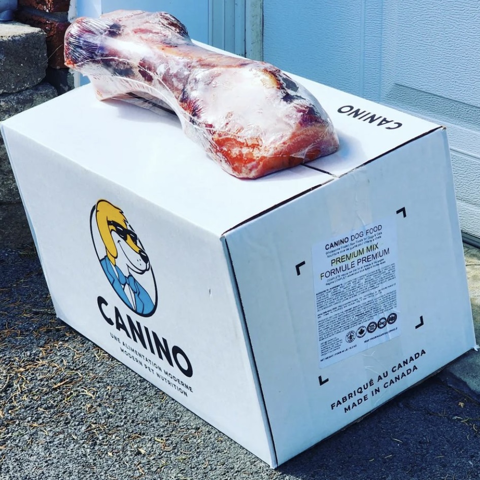 Images Canino