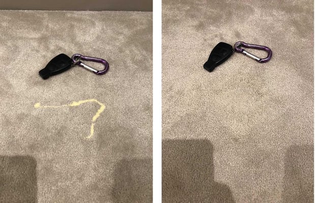 Images SaulClean - Carpet & Rug Dyeing