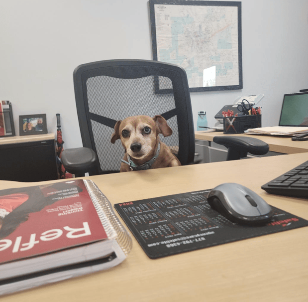 Images Sheila Curtis - State Farm Insurance Agent