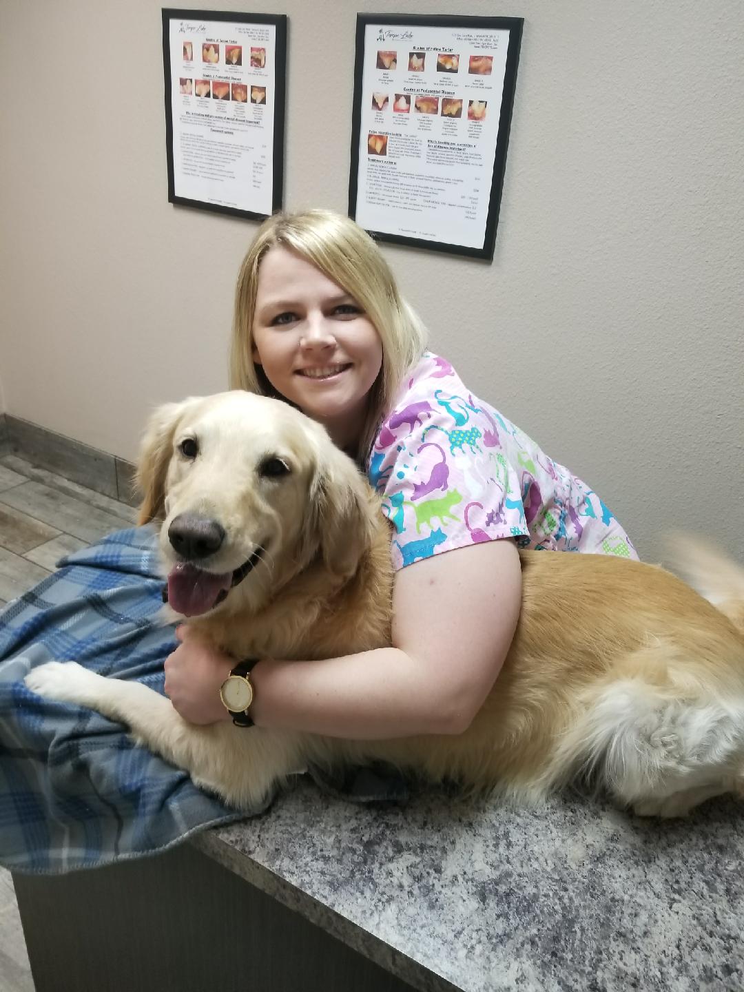 Tempe Lake Veterinary Clinic & Pet Resort Photo