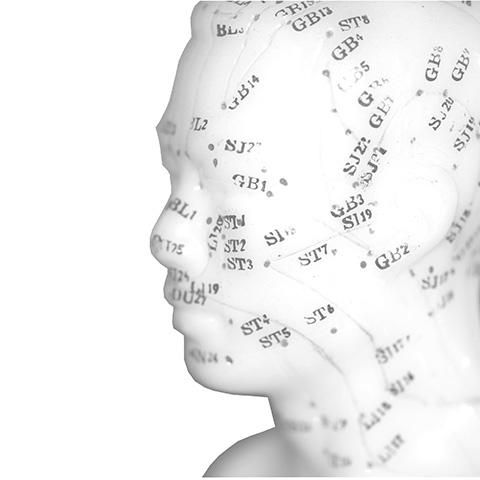 MEDASIA, Lindauring 2 in Rothenburg