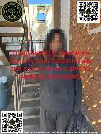 Images TreeStone Security Services