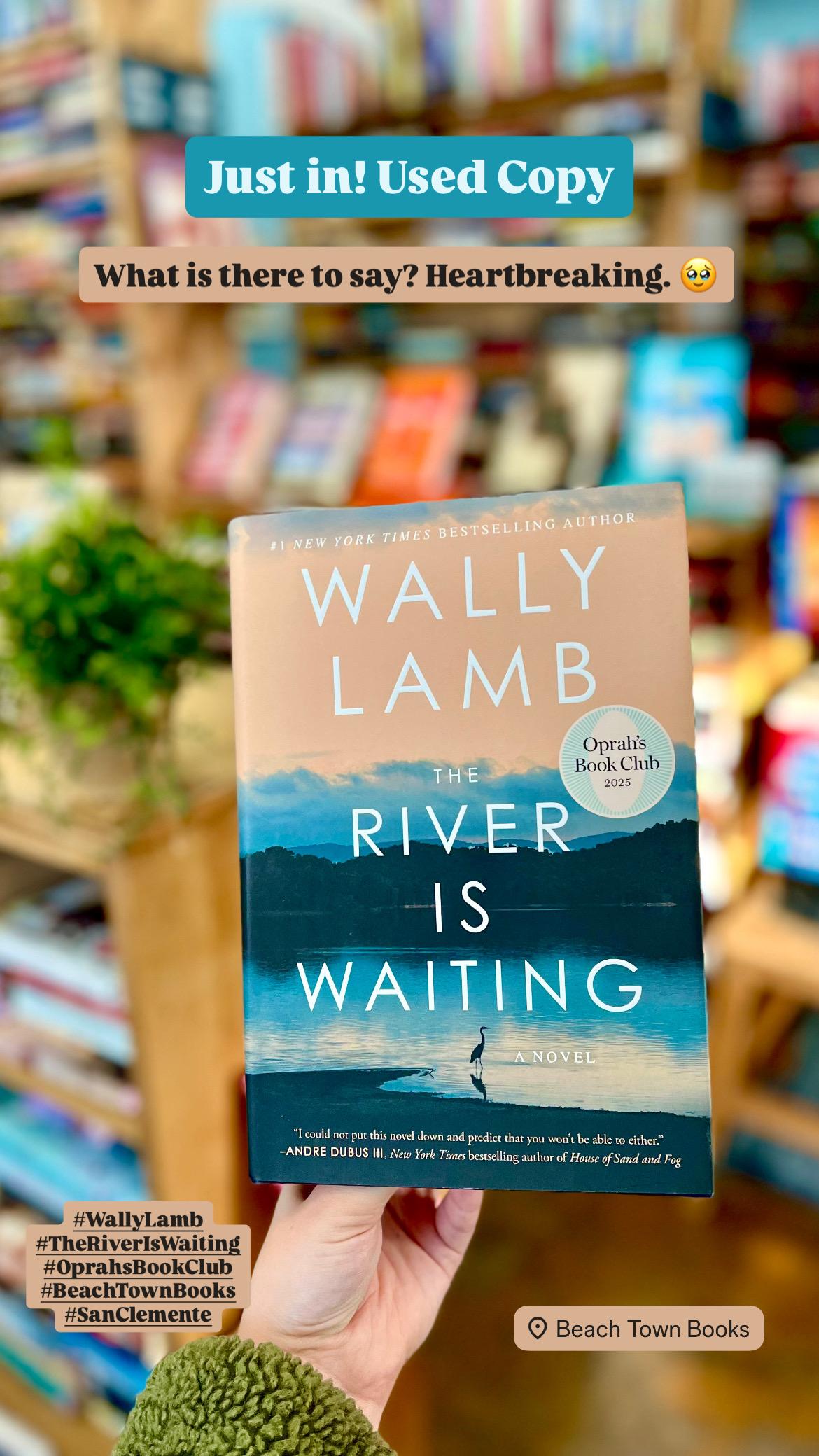 The River is Waiting, by Wally Lamb