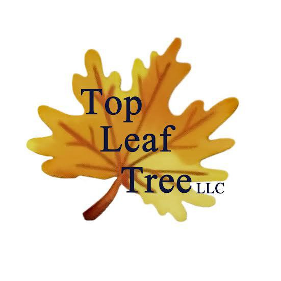 Top Leaf Tree LLC - Raymond, ME 04071 - (207)712-7864 | ShowMeLocal.com