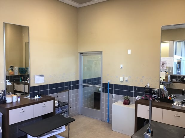 Images Petco Grooming