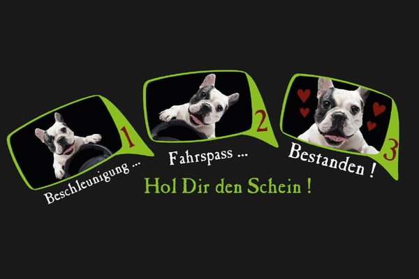 Bilder Fahrschule Ponier
