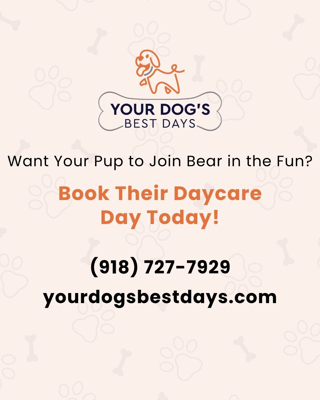 Your Dog’s Best Days branded post promoting dog daycare with contact details for pet owners interested in joining.