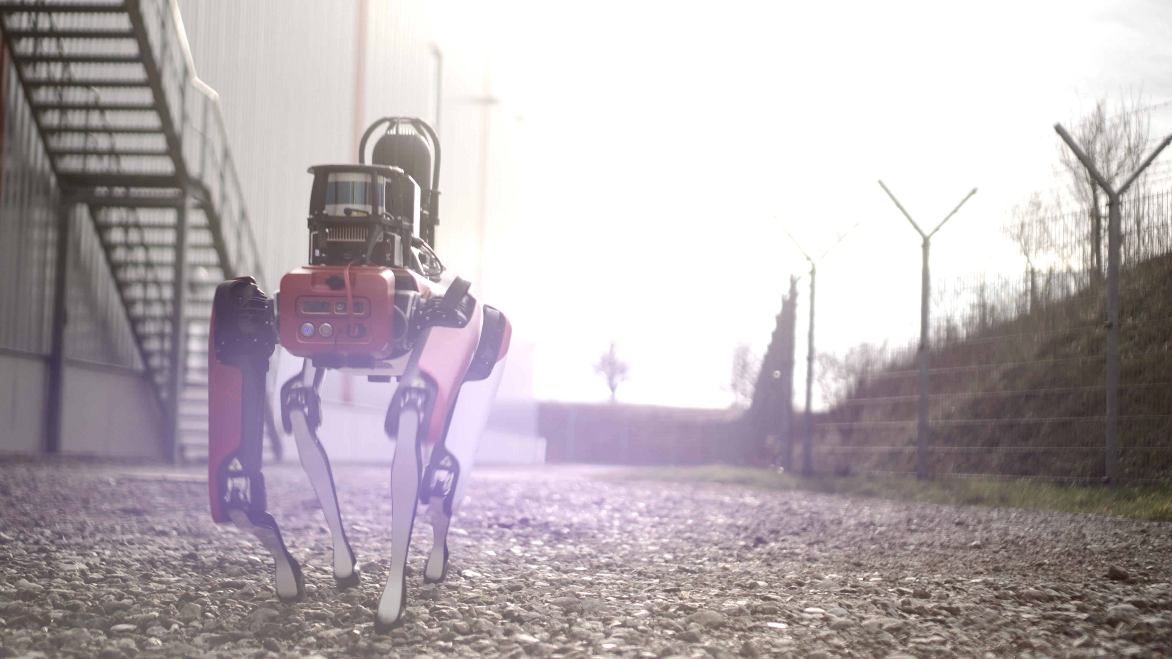 CIBORIUS Security & Service Solutions Berlin GmbH, Wartenberger Straße 24 in Berlin