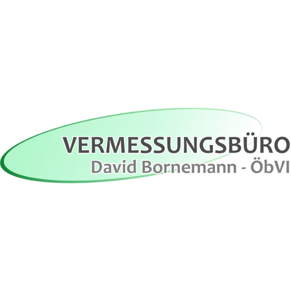 Vermessungsbüro David Bornemann - ÖbVI in Luckenwalde - Logo