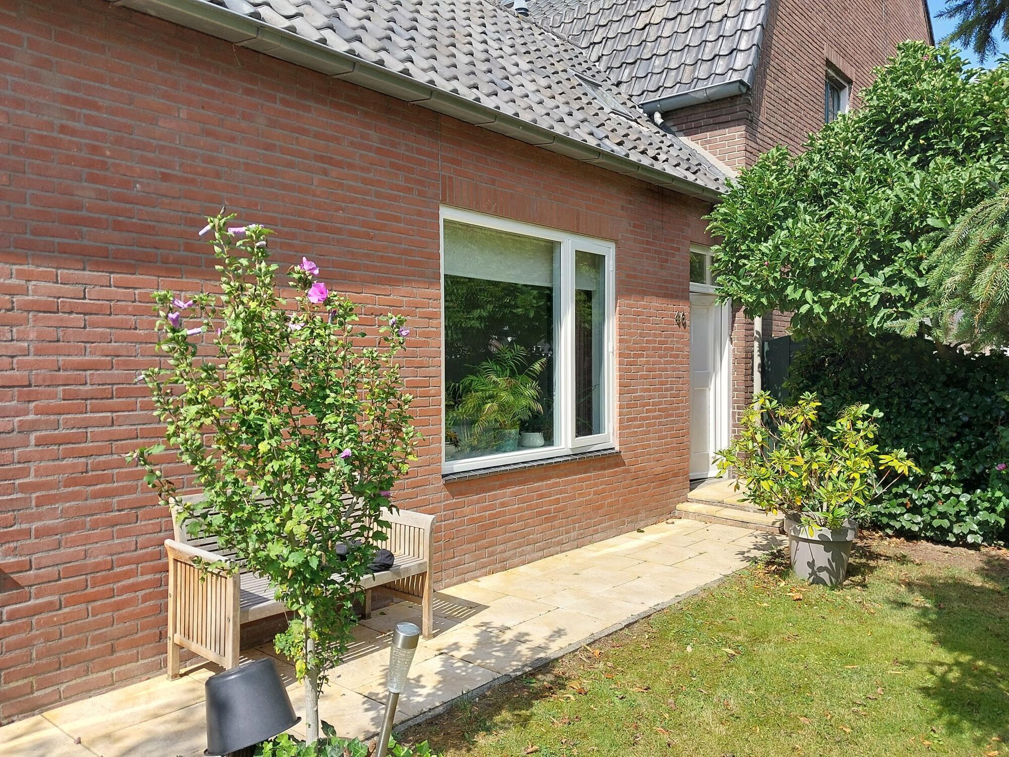 Foto's O.F.S.  muur-plafondspuiten.nl