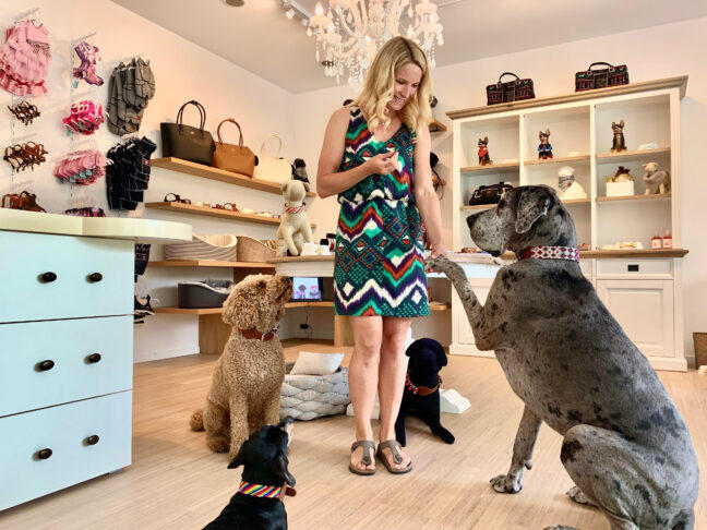 MY DOG COMPANY GmbH, Alderstrasse 28 in Zürich