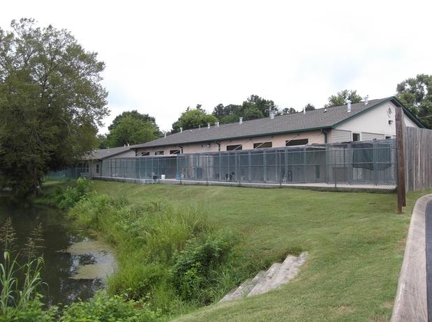 Images VCA Catoosa Animal Hospital