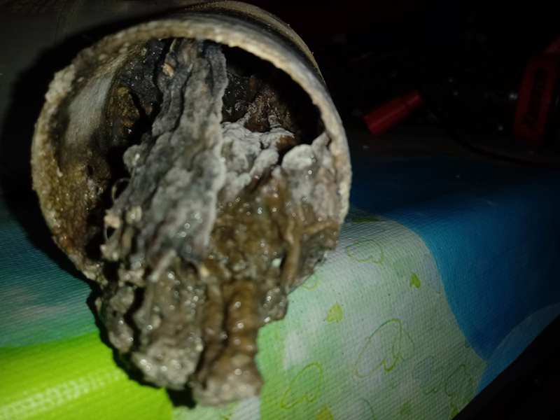 Abfluss Wagner, Ernst-Abbe-Straße 3 in Ulm