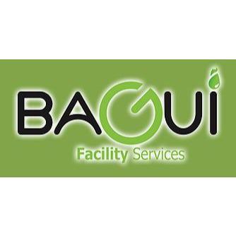 Bagui services Logo