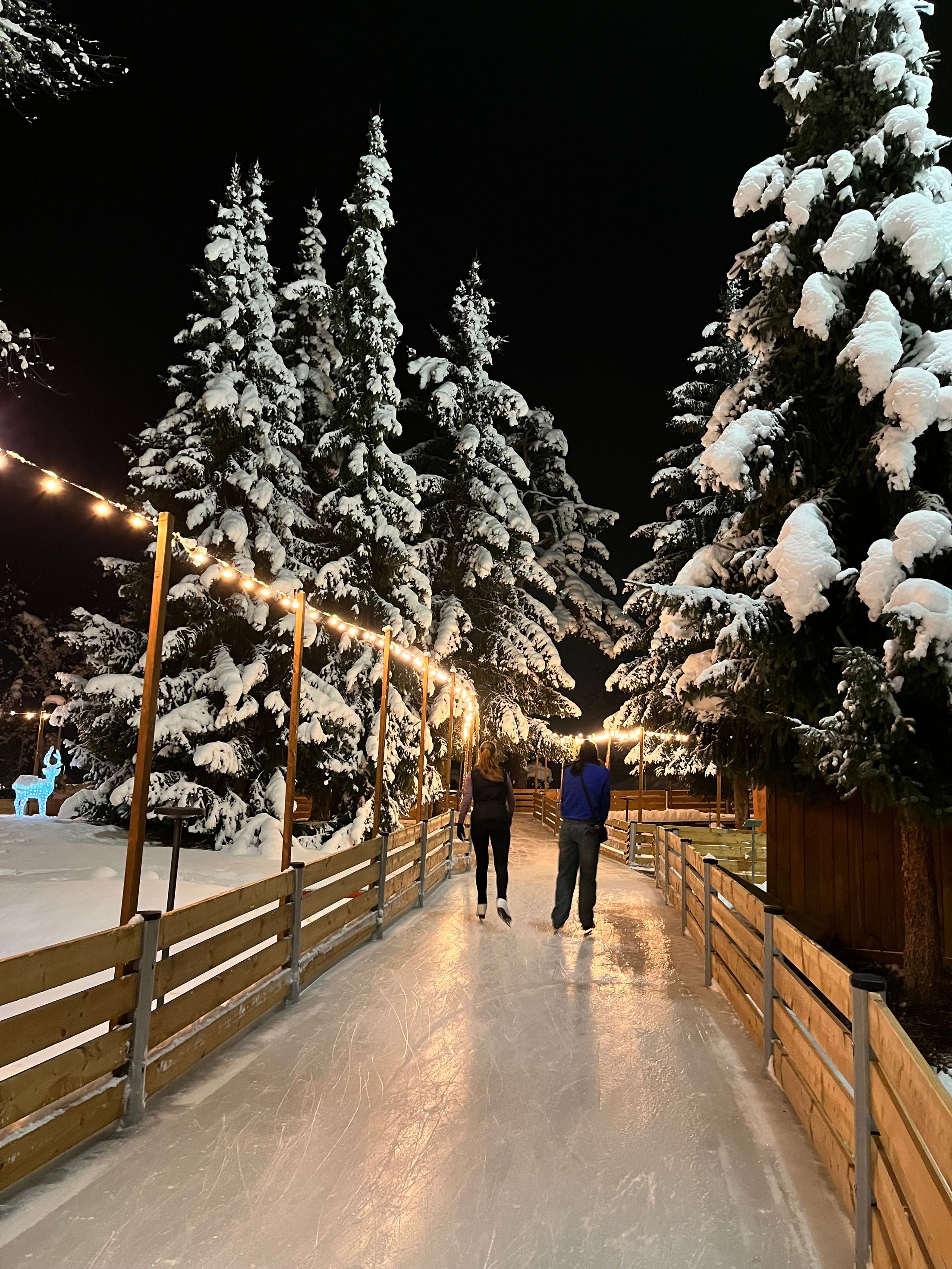 Bilder Winter World Wallisellen
