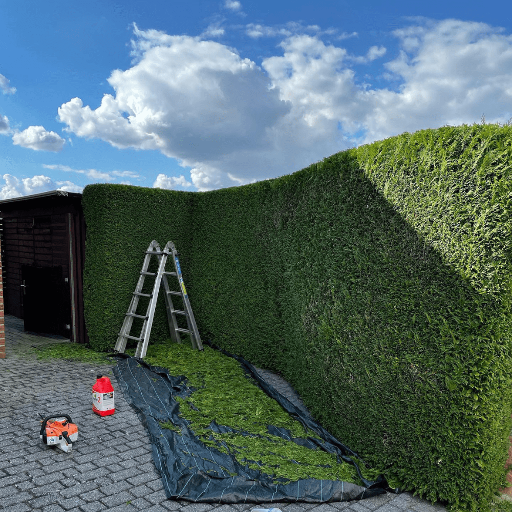 DerHeckenHeld, Hauptstraße 7 in Hesweiler