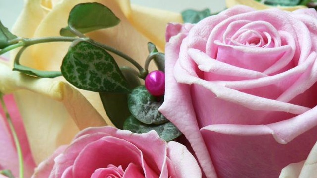 Images Blomsterateljén i Örnsköldsvik AB