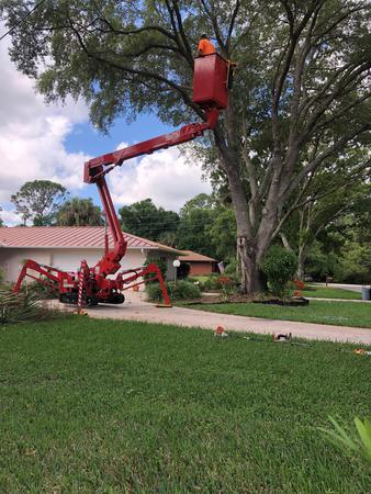 Images A Advanced Tree Service