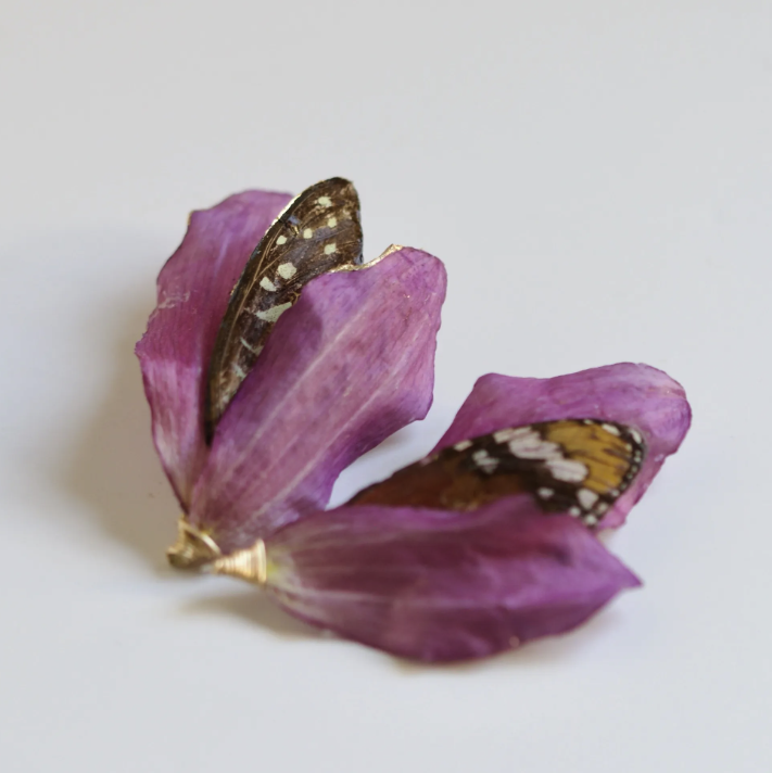 Images Hillary Jackson Designs