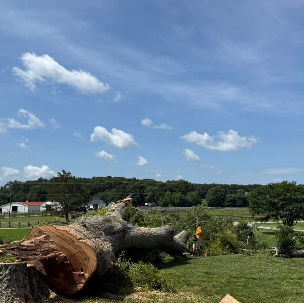 Images Southern Grading & Associates LLC