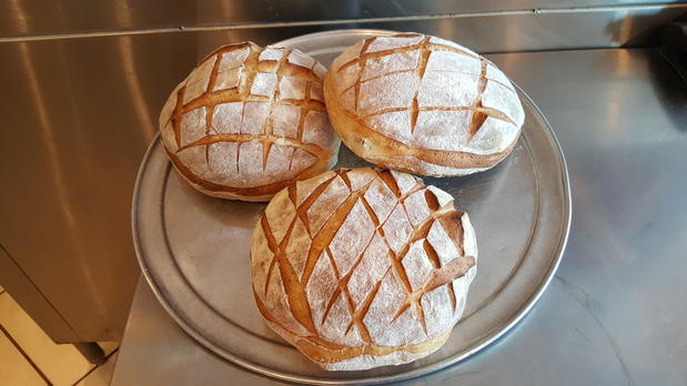 Images Brooklyn Pizza - Grill