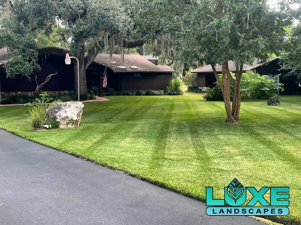 Images Luxe Landscapes