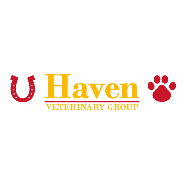 Haven Veterinary Group, Hedon Logo