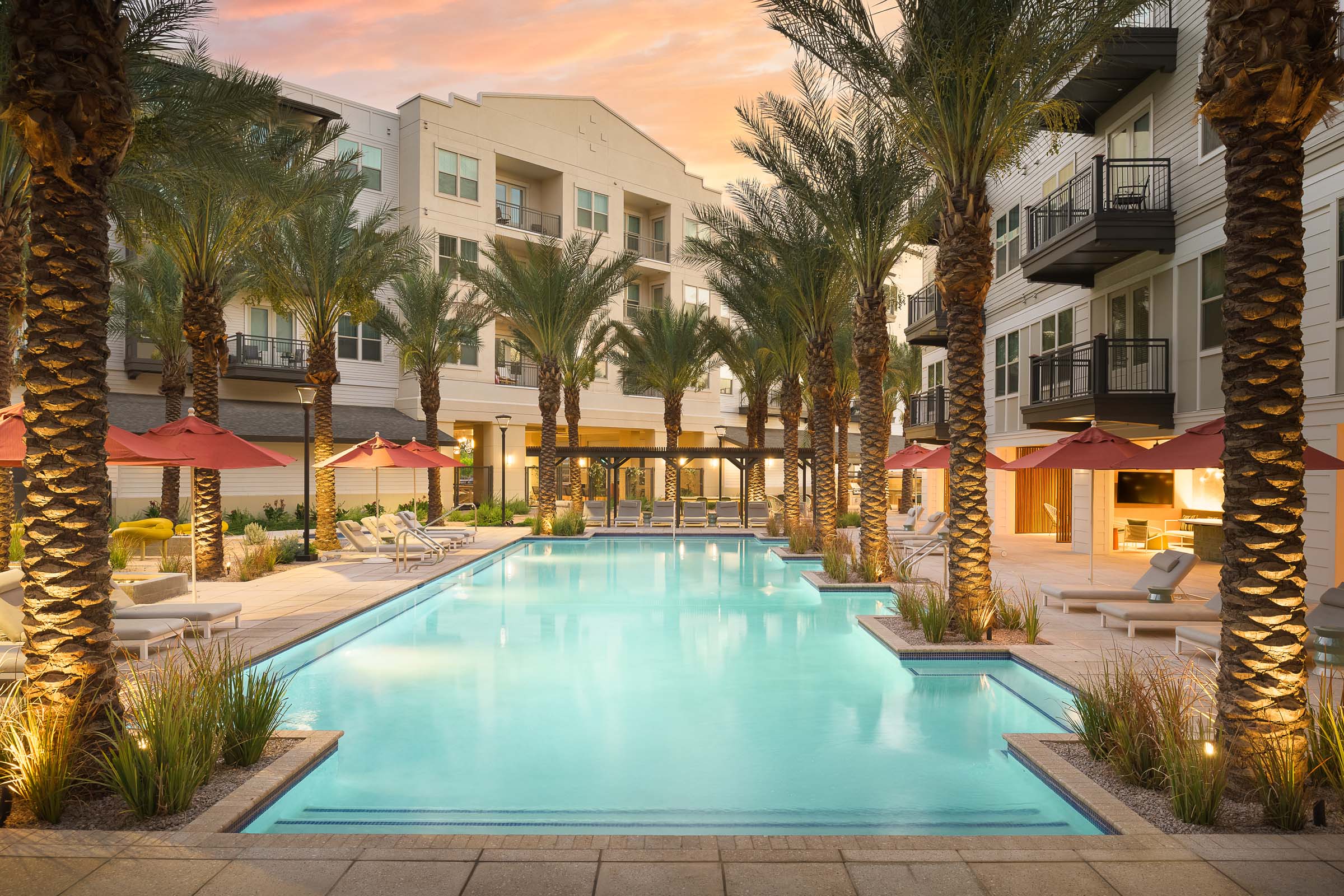 Oasis-style pool lined with palm trees in the evening at Camden Gilbert apartment homes in Gilbert, AZ