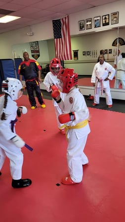 Images Jaguar Dojo