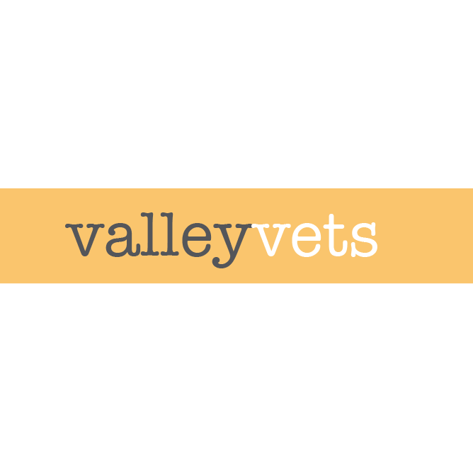 Valley Vets, Pentyrch Logo