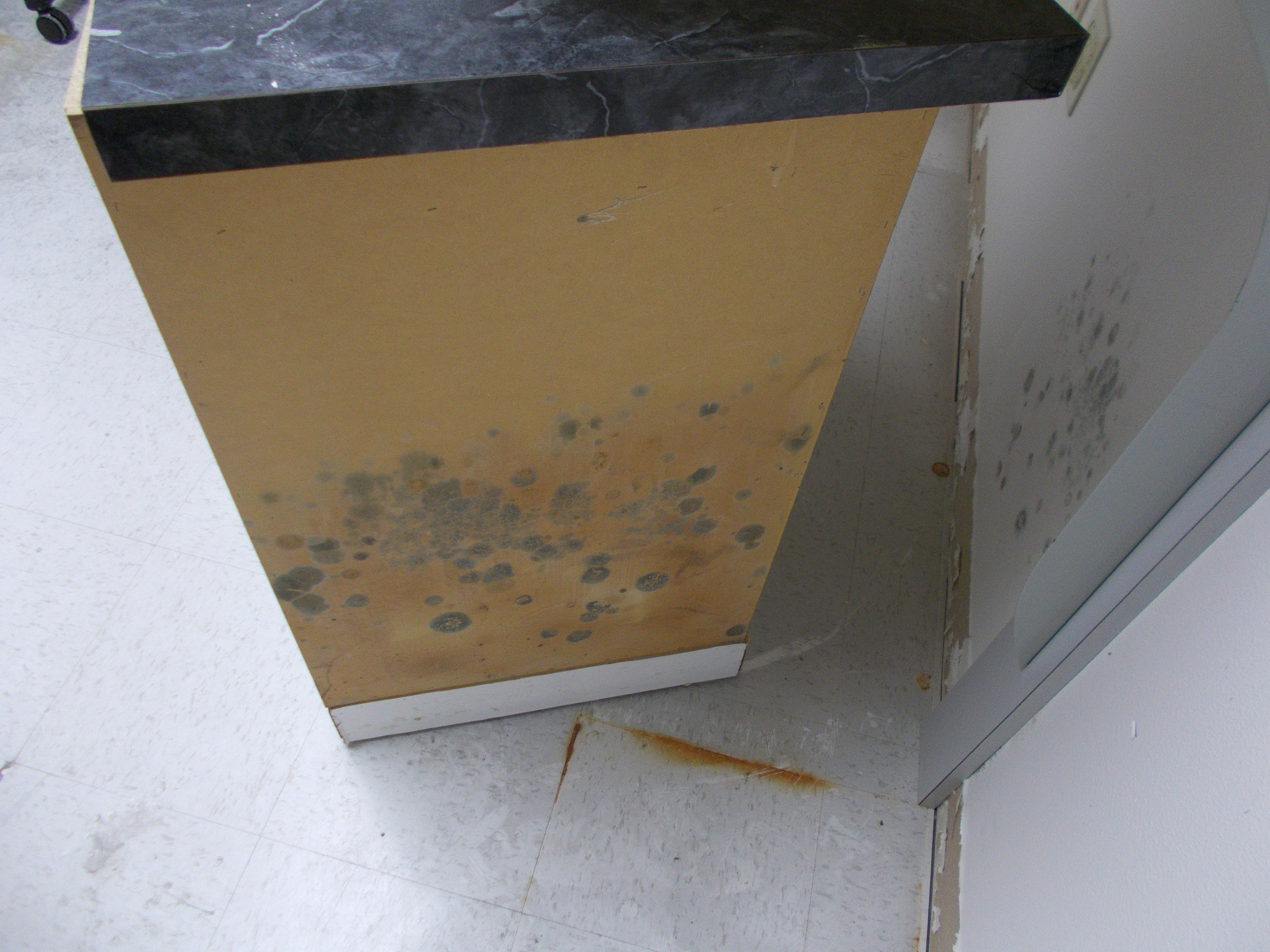 Can you spot the mold? SERVPRO can and our trained professionals are here to get things back to normal.