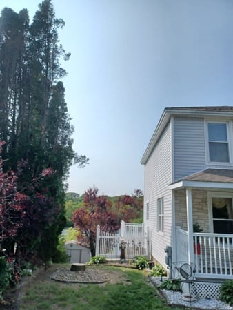Images Perez Tree Service & Hardscaping