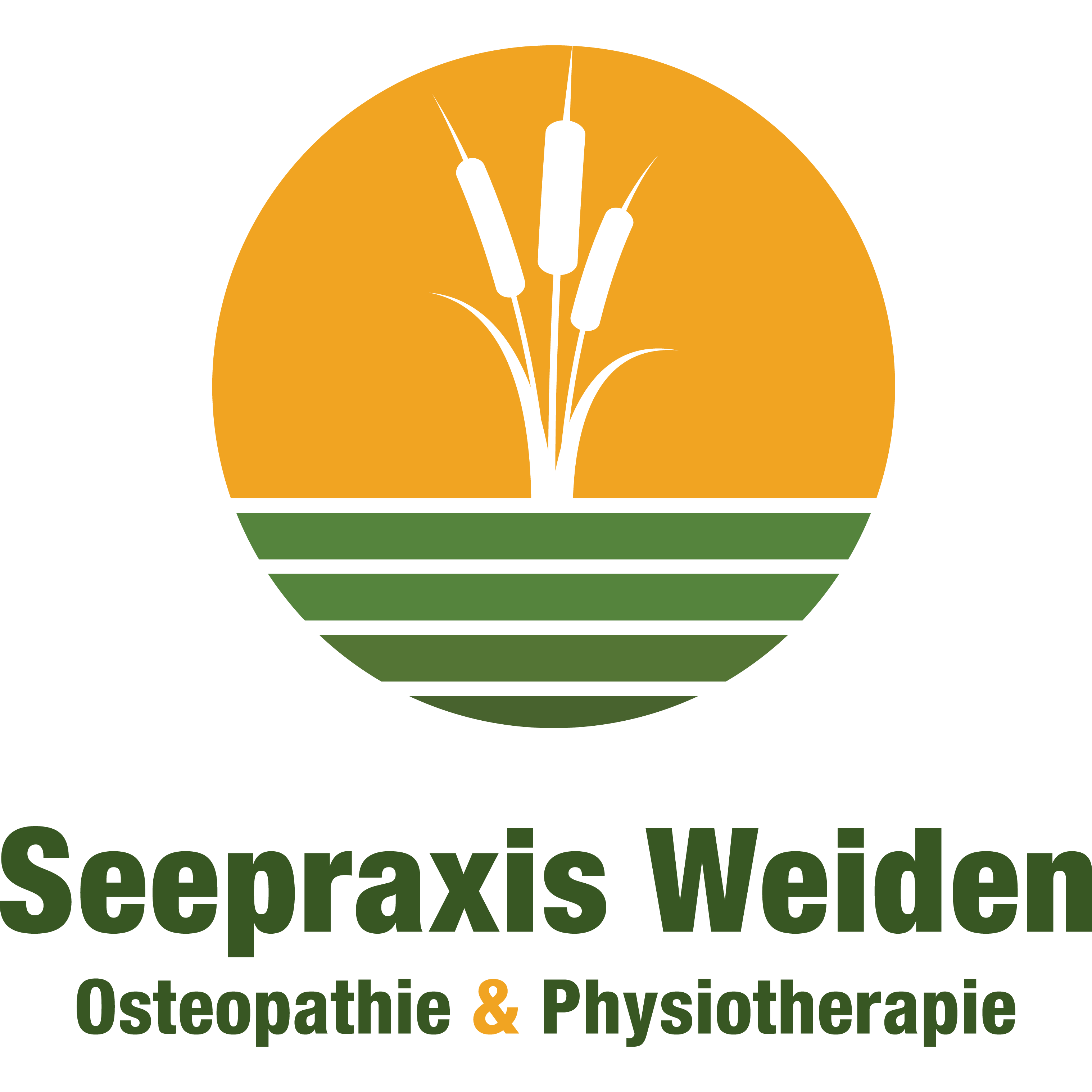 Logo Seepraxis Weiden