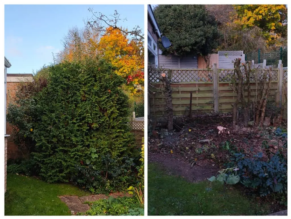 Images Clarke's Garden Care
