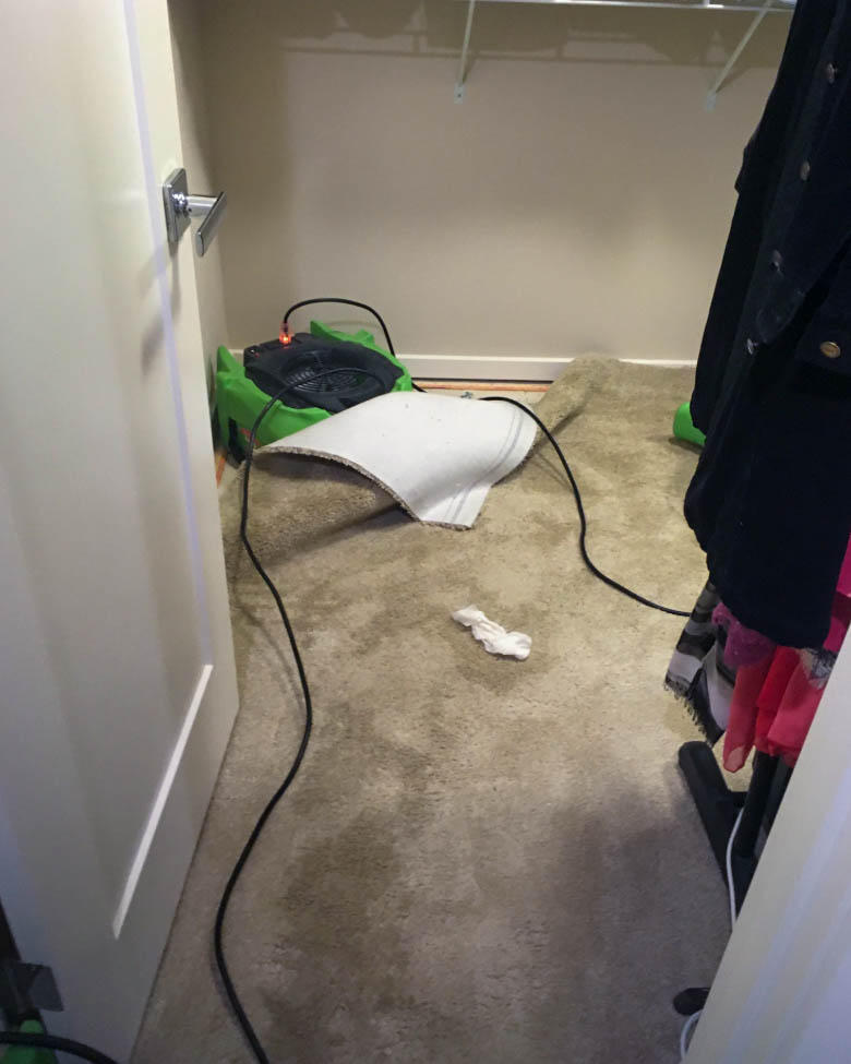 Our SERVPRO of Seattle Northwest team  provides the best water damage restoration service available in Wallingford, WA, we have the expertise to remediate the problem in no time. Call us at anytime!