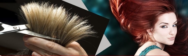 Images Hair Dynamics