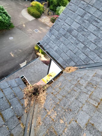 Images NJM Roof & Gutter Cleaning