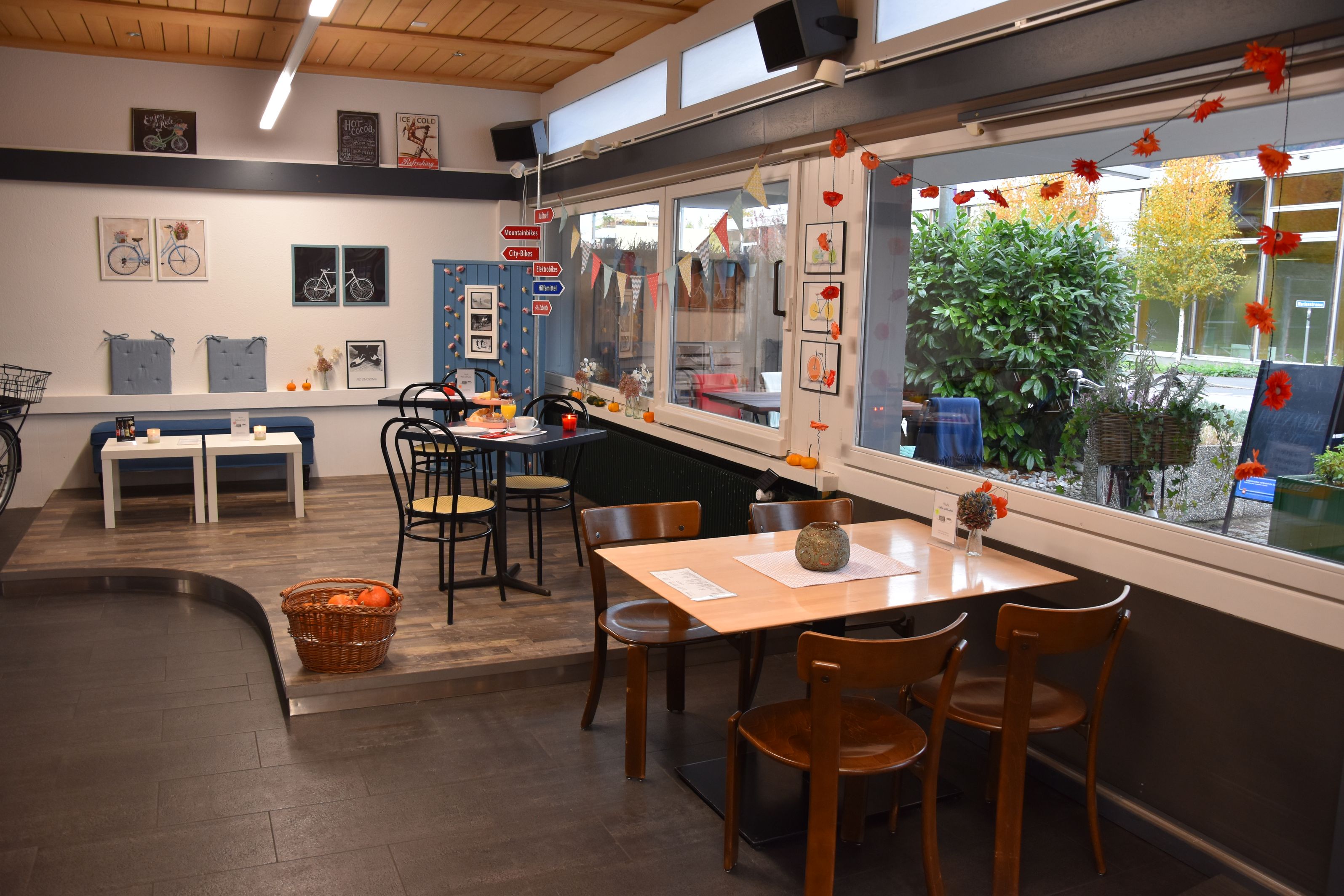 Bilder Velomobil Hofer GmbH