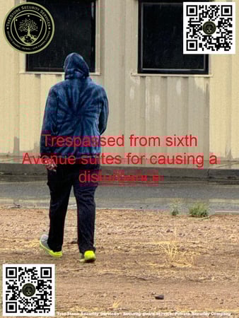 Images TreeStone Security Services