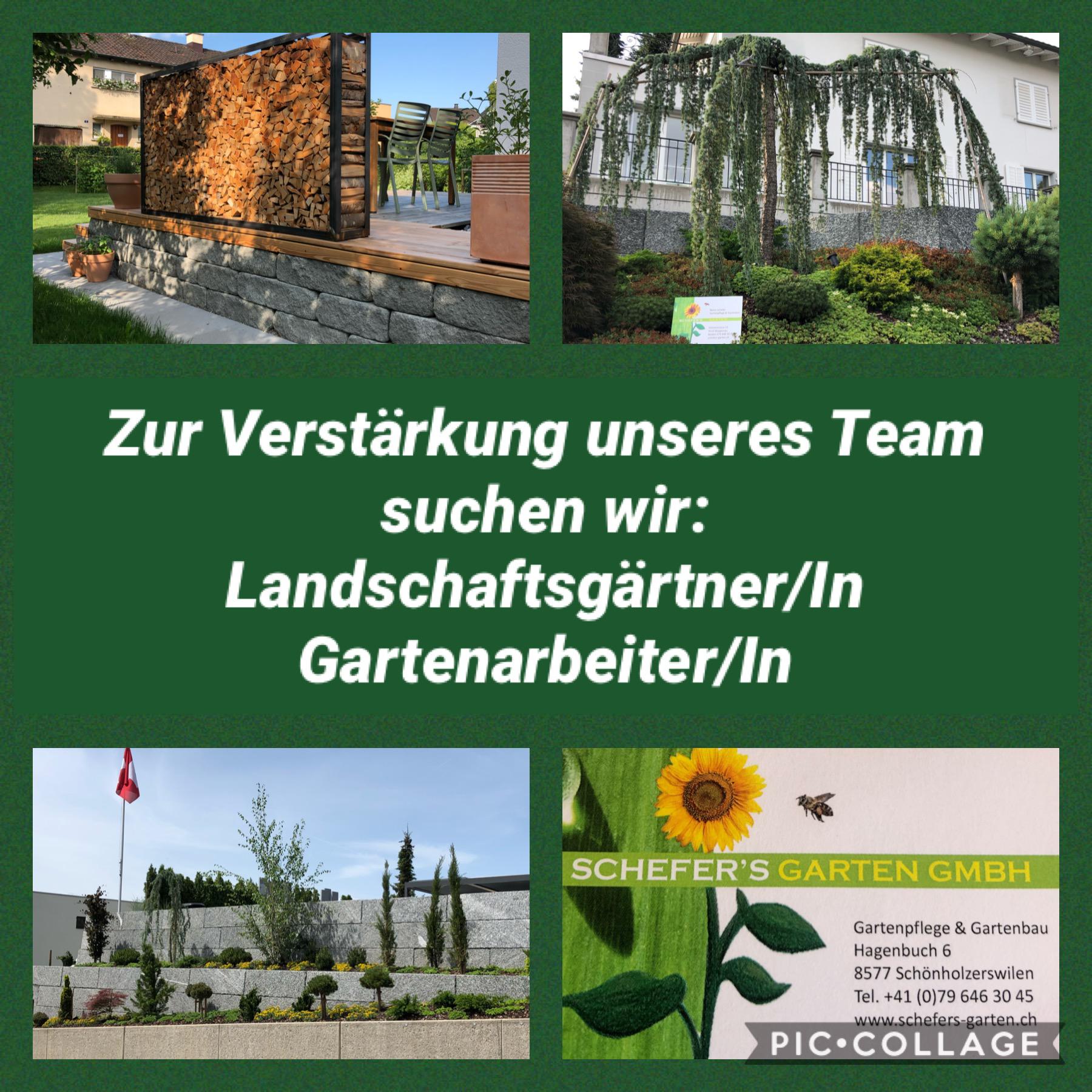 Bilder Schefer's Garten GmbH, Remo Schefer Gartenbau & Gartenpflege