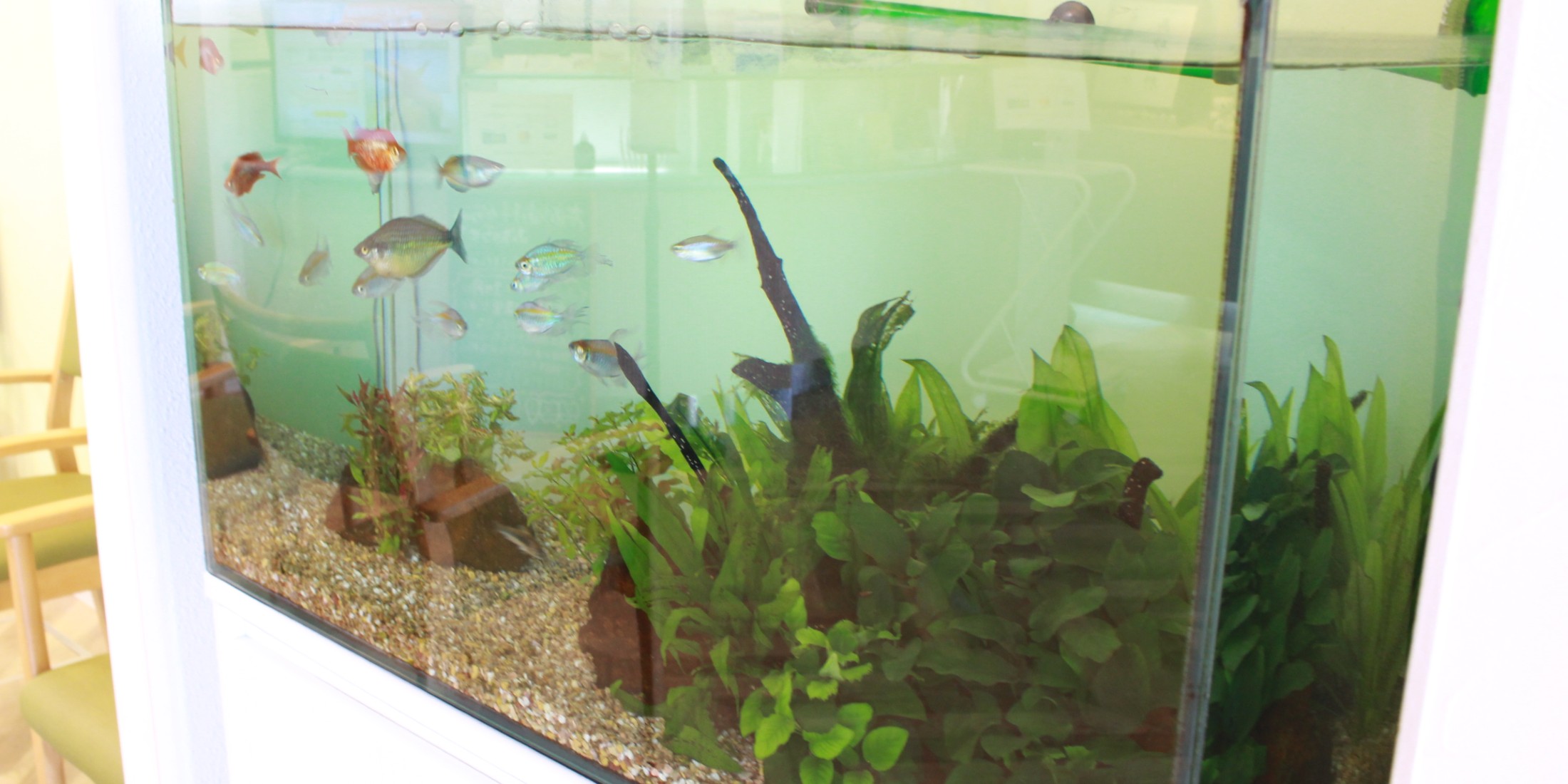 Images 医療法人社団　真俊会　高砂歯科