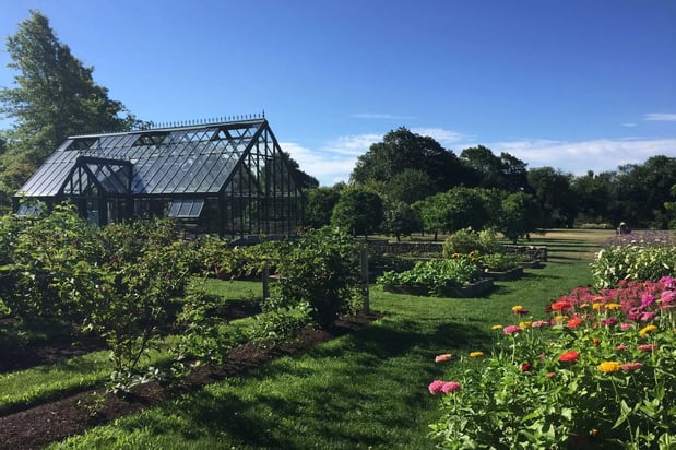 Images DaPonte's Landscaping Services