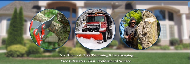 Images Markovski Landscaping & Tree Service