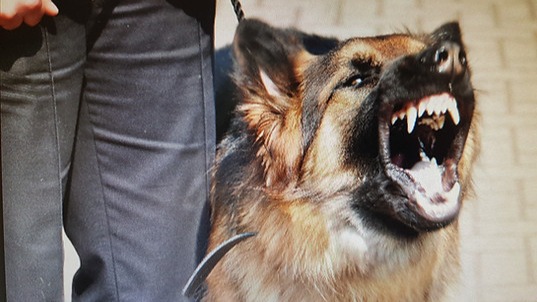 Images Brisbane Valley Security Services