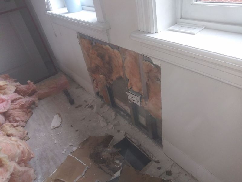 Images Simply Mold Gone